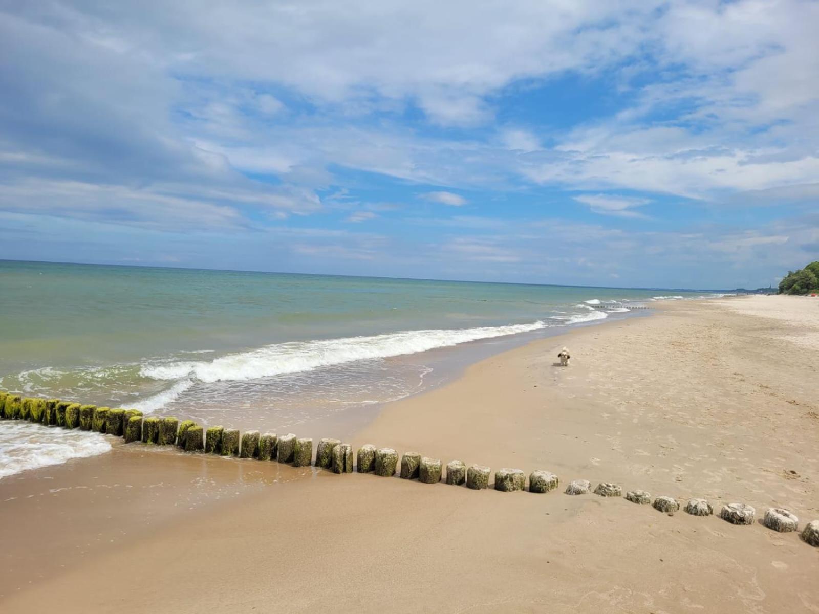 Zlote Piaski Homestay